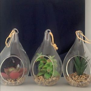 fake plants to hang on your wall